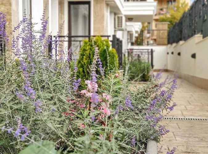 Vista Mare Apartmán *